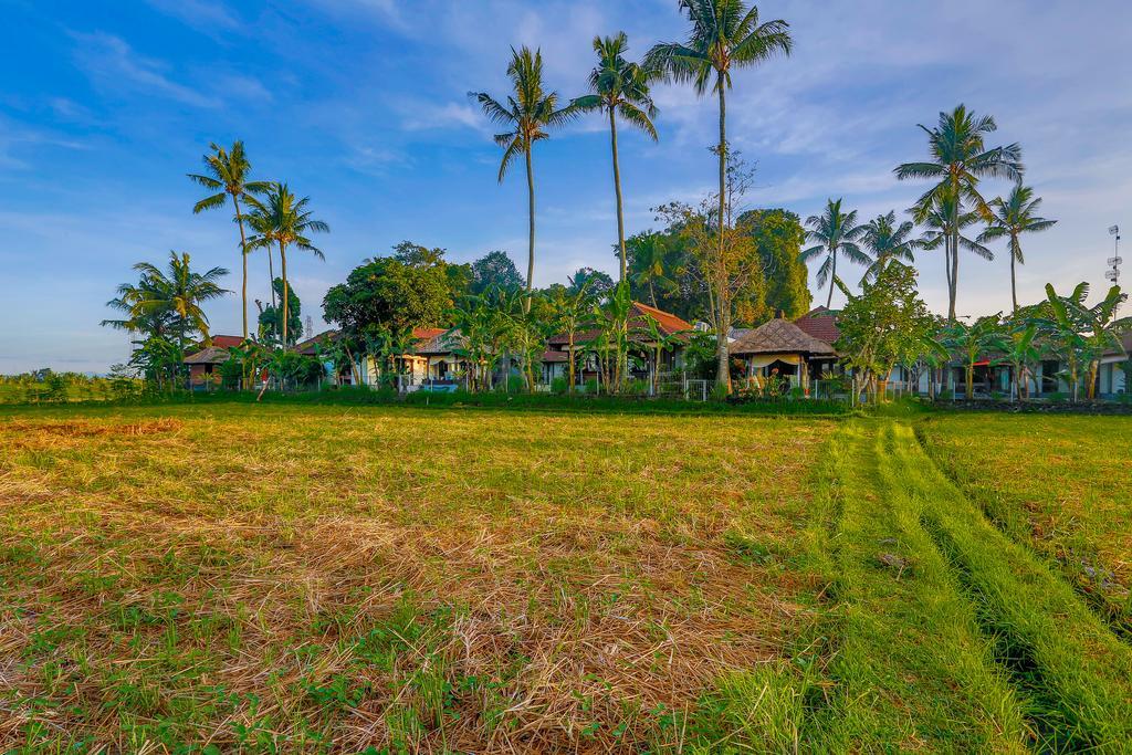 Villa Kaba Kaba Resort Canggu Eksteriør billede