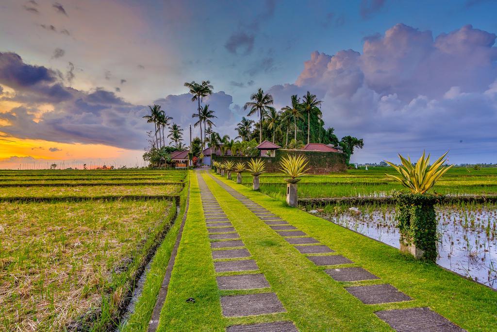 Villa Kaba Kaba Resort Canggu Eksteriør billede
