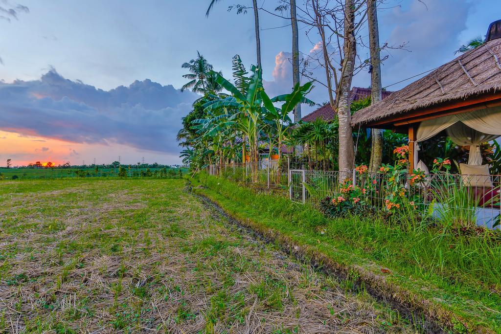 Villa Kaba Kaba Resort Canggu Eksteriør billede
