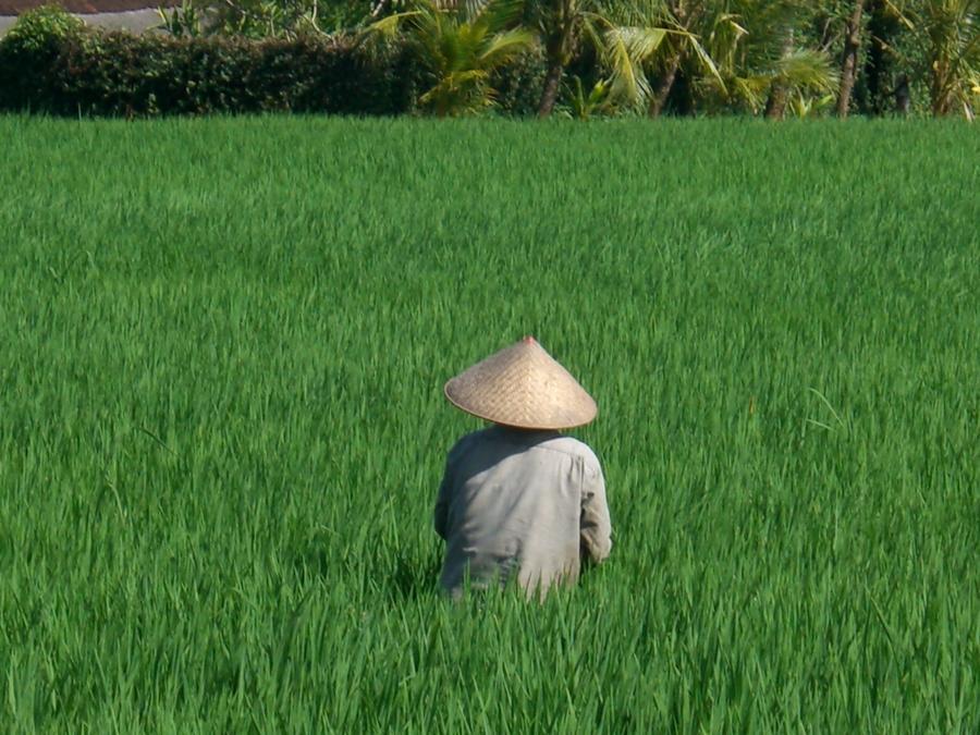Villa Kaba Kaba Resort Canggu Eksteriør billede