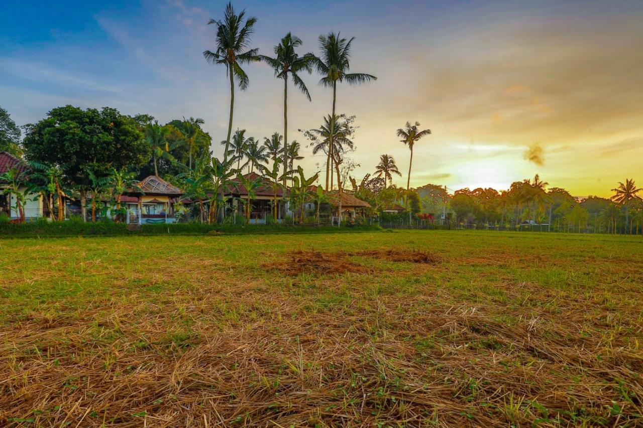 Villa Kaba Kaba Resort Canggu Eksteriør billede